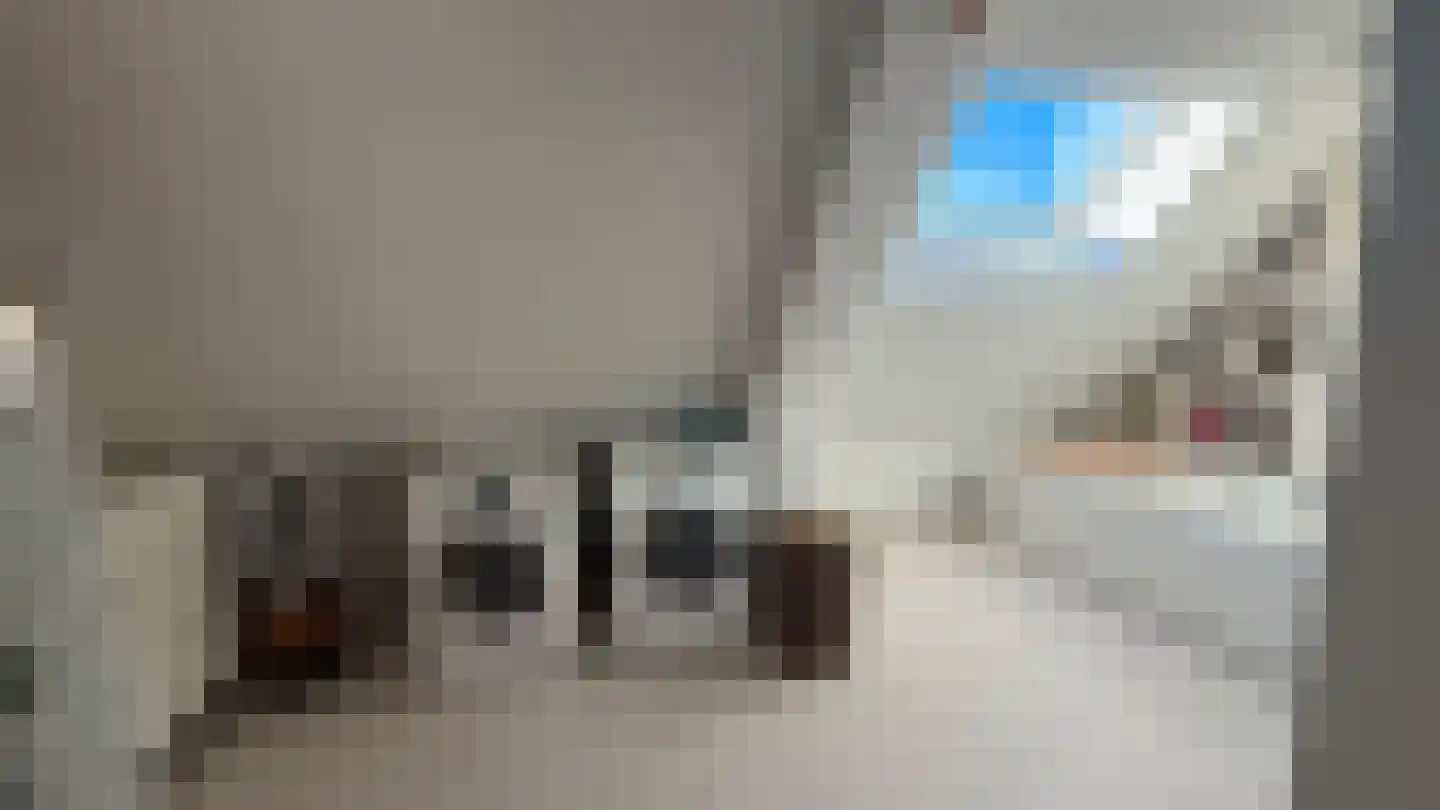 Raadhuisstraat 5 Hoogerheide thumbnail 16
