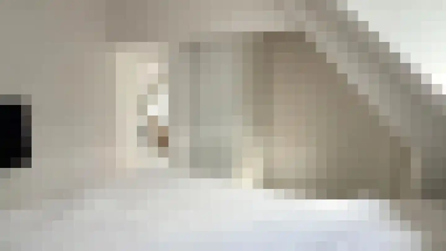 Raadhuisstraat 5 Hoogerheide thumbnail 19
