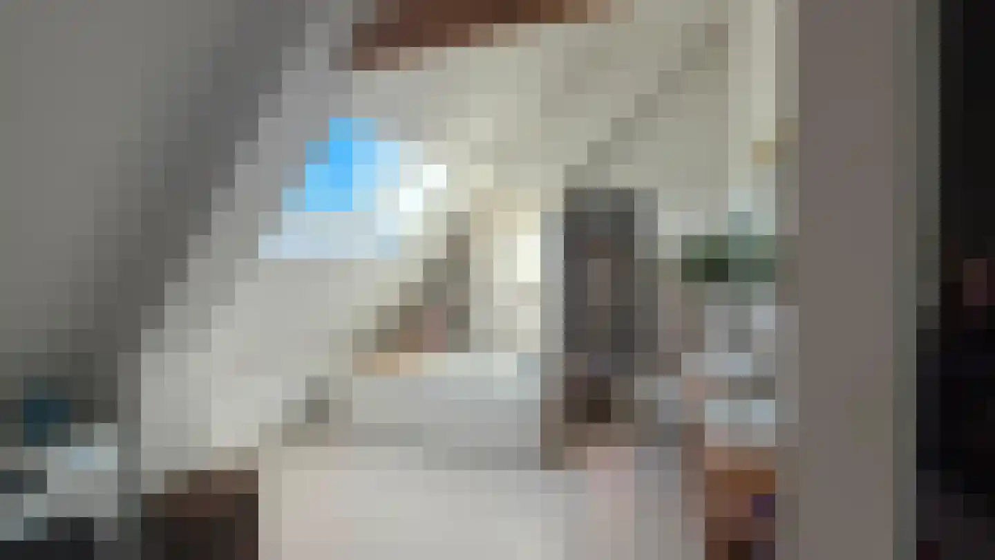 Raadhuisstraat 5 Hoogerheide thumbnail 4