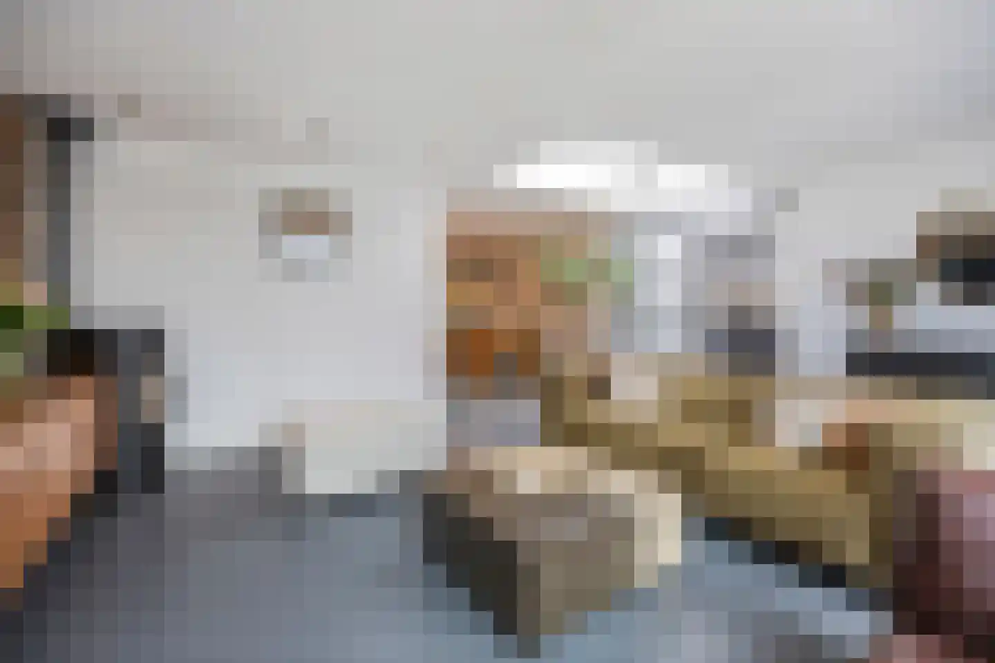 Raadhuisstraat 5 Maasbracht thumbnail 10