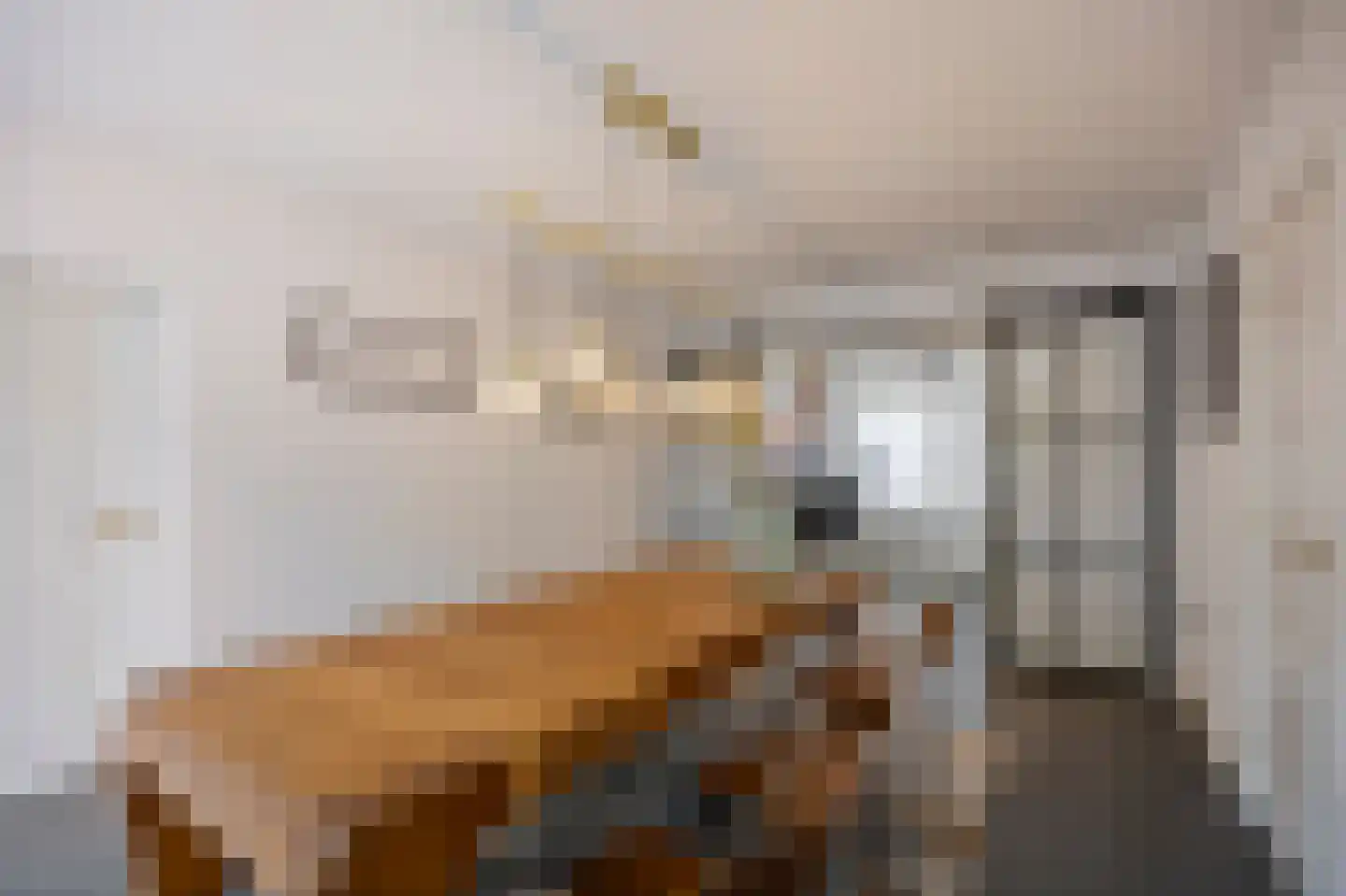 Raadhuisstraat 5 Maasbracht thumbnail 13
