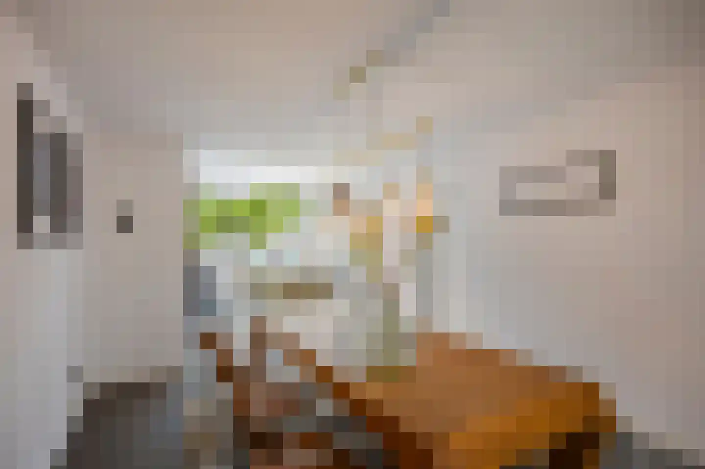 Raadhuisstraat 5 Maasbracht thumbnail 17