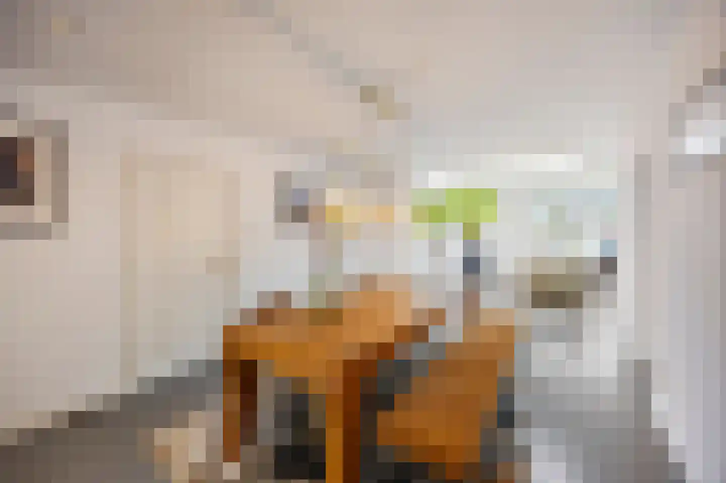 Raadhuisstraat 5 Maasbracht thumbnail 18