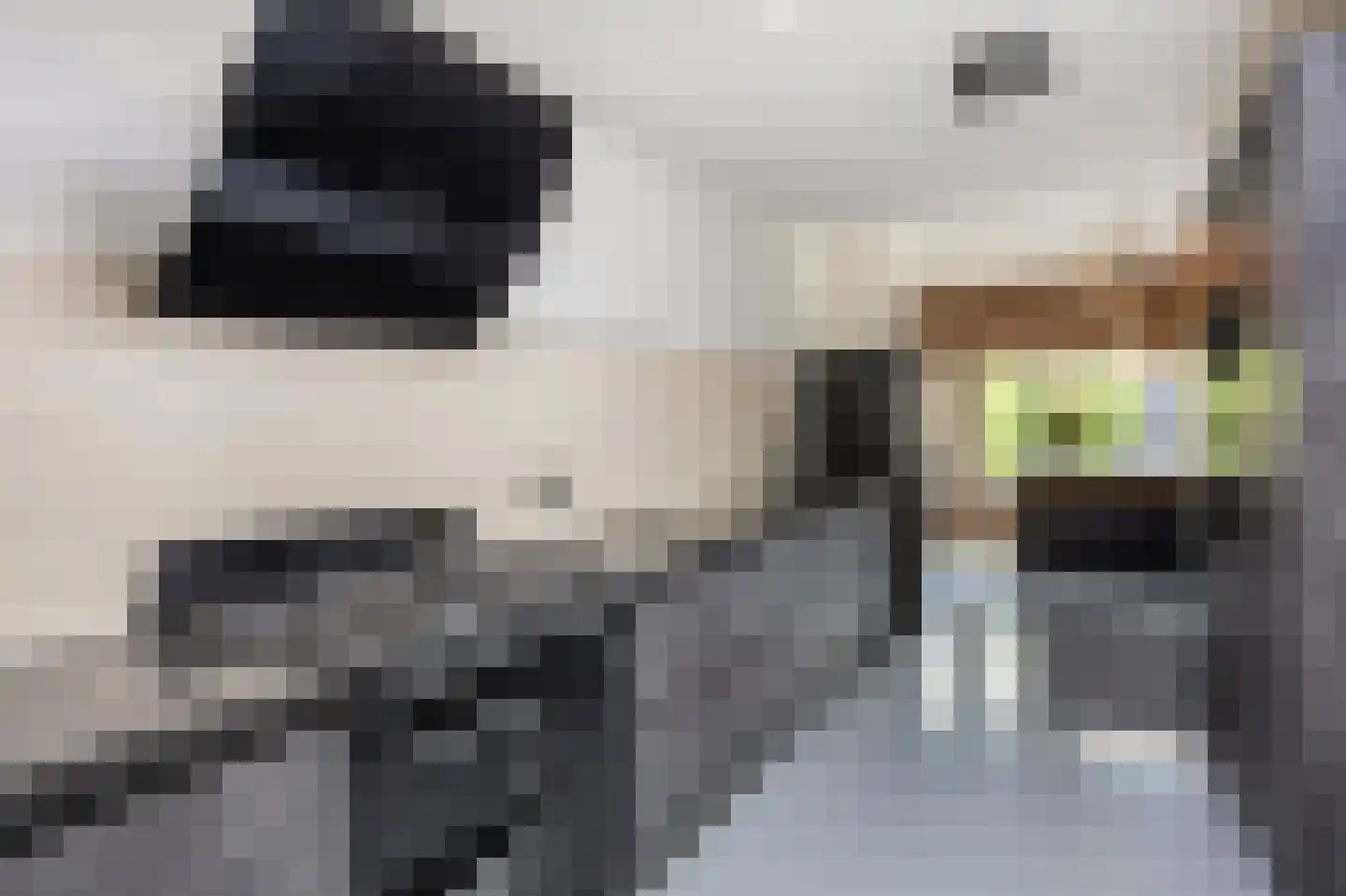 Raadhuisstraat 5 Maasbracht thumbnail 19