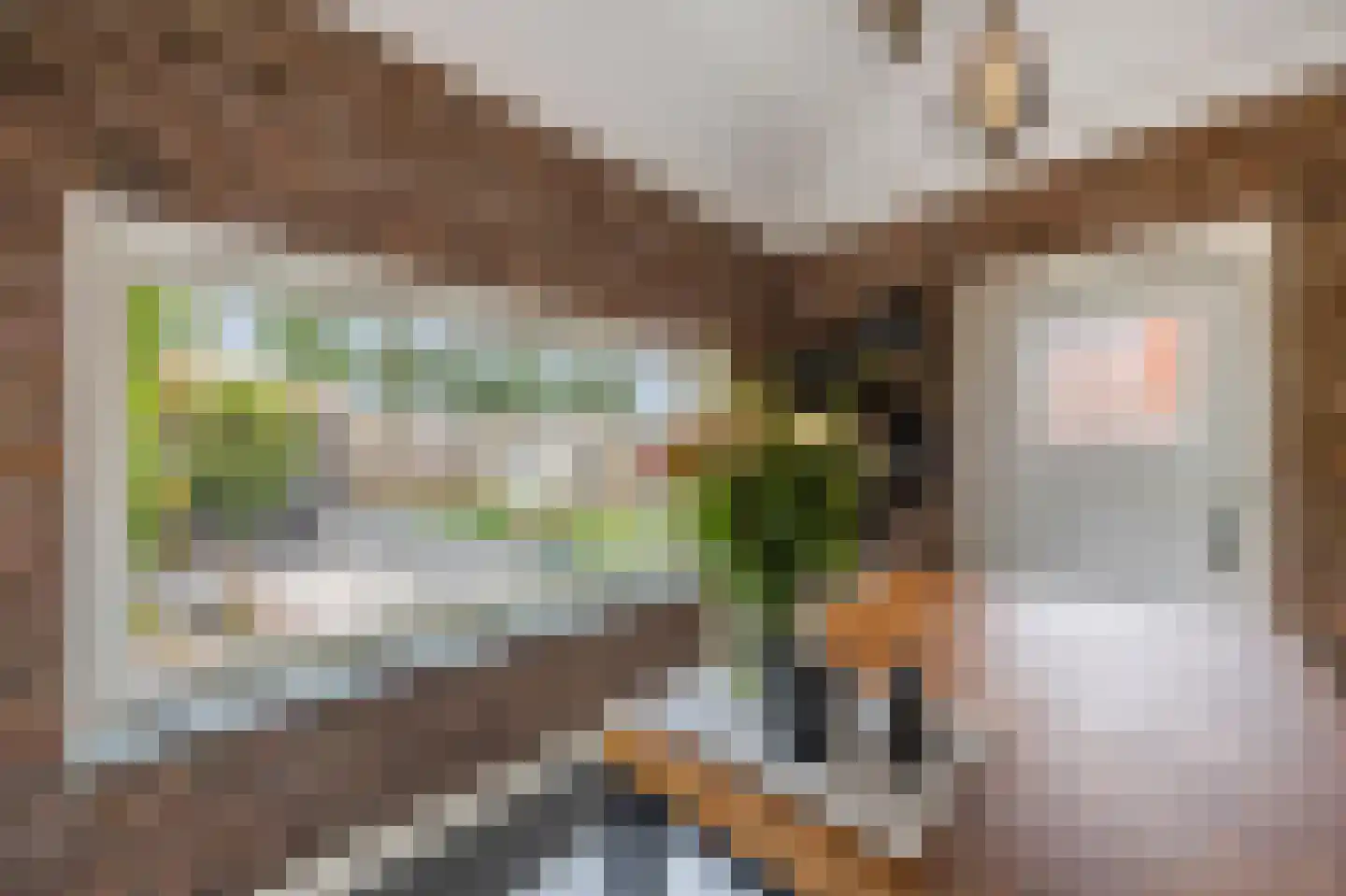 Raadhuisstraat 5 Maasbracht thumbnail 21