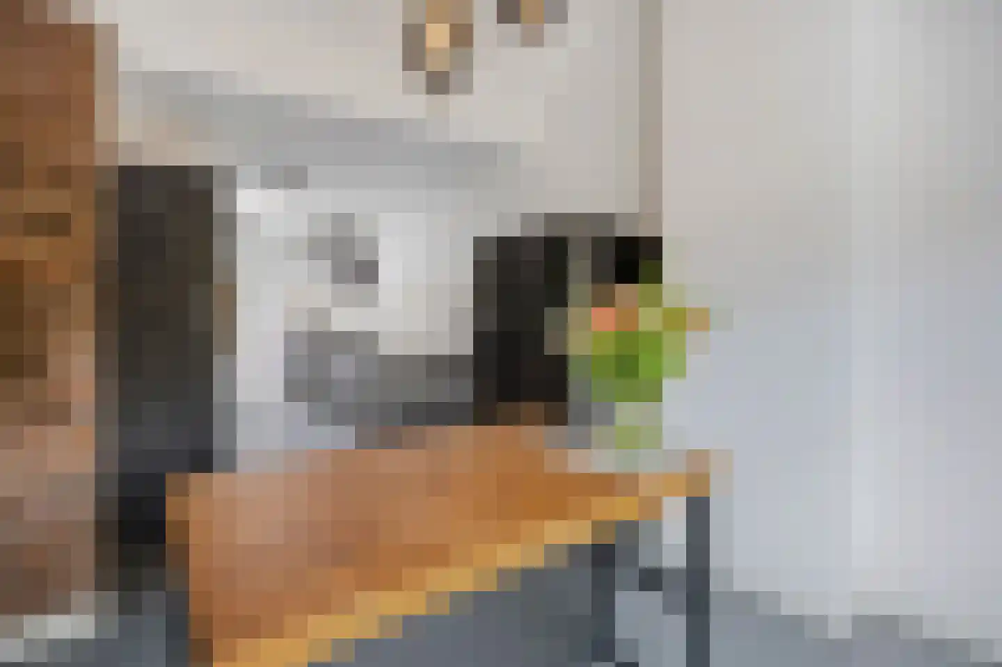 Raadhuisstraat 5 Maasbracht thumbnail 23