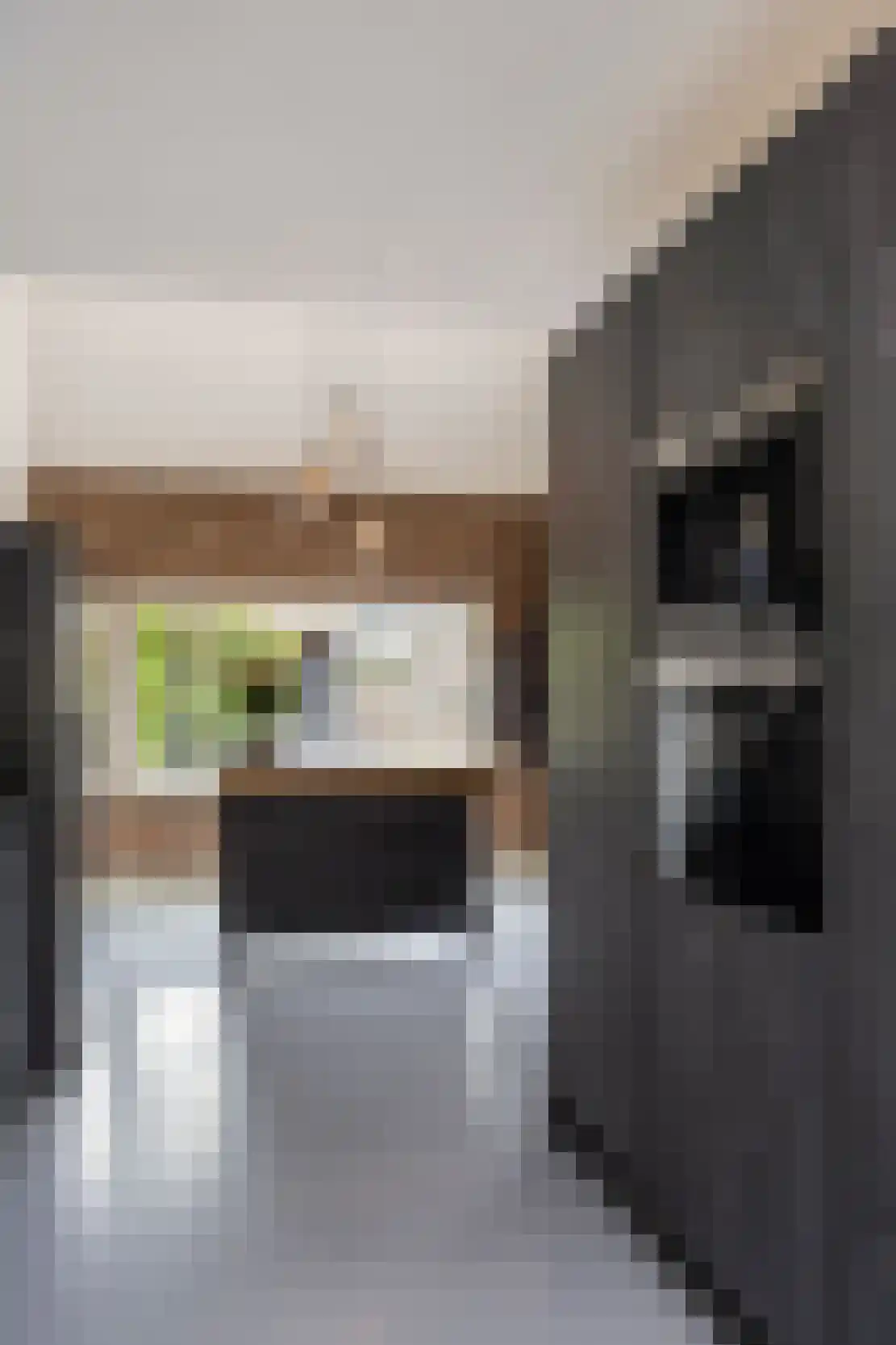 Raadhuisstraat 5 Maasbracht thumbnail 24
