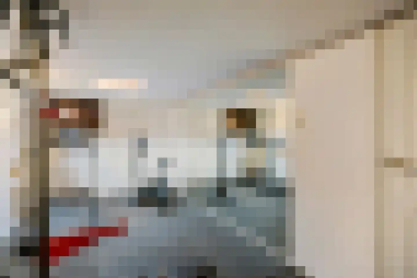 Raadhuisstraat 5 Maasbracht thumbnail 25