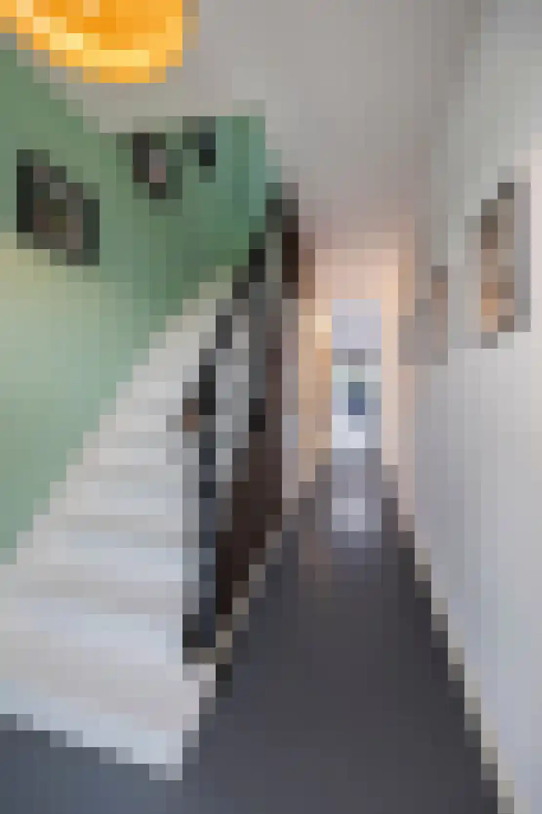 Raadhuisstraat 5 Maasbracht thumbnail 26