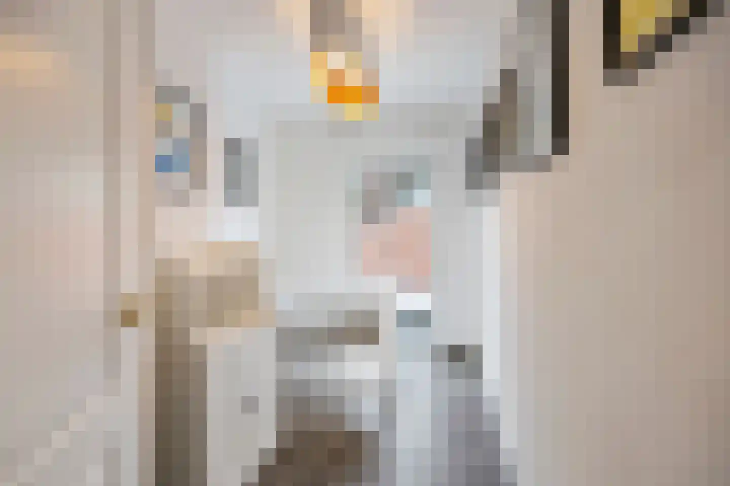 Raadhuisstraat 5 Maasbracht thumbnail 27