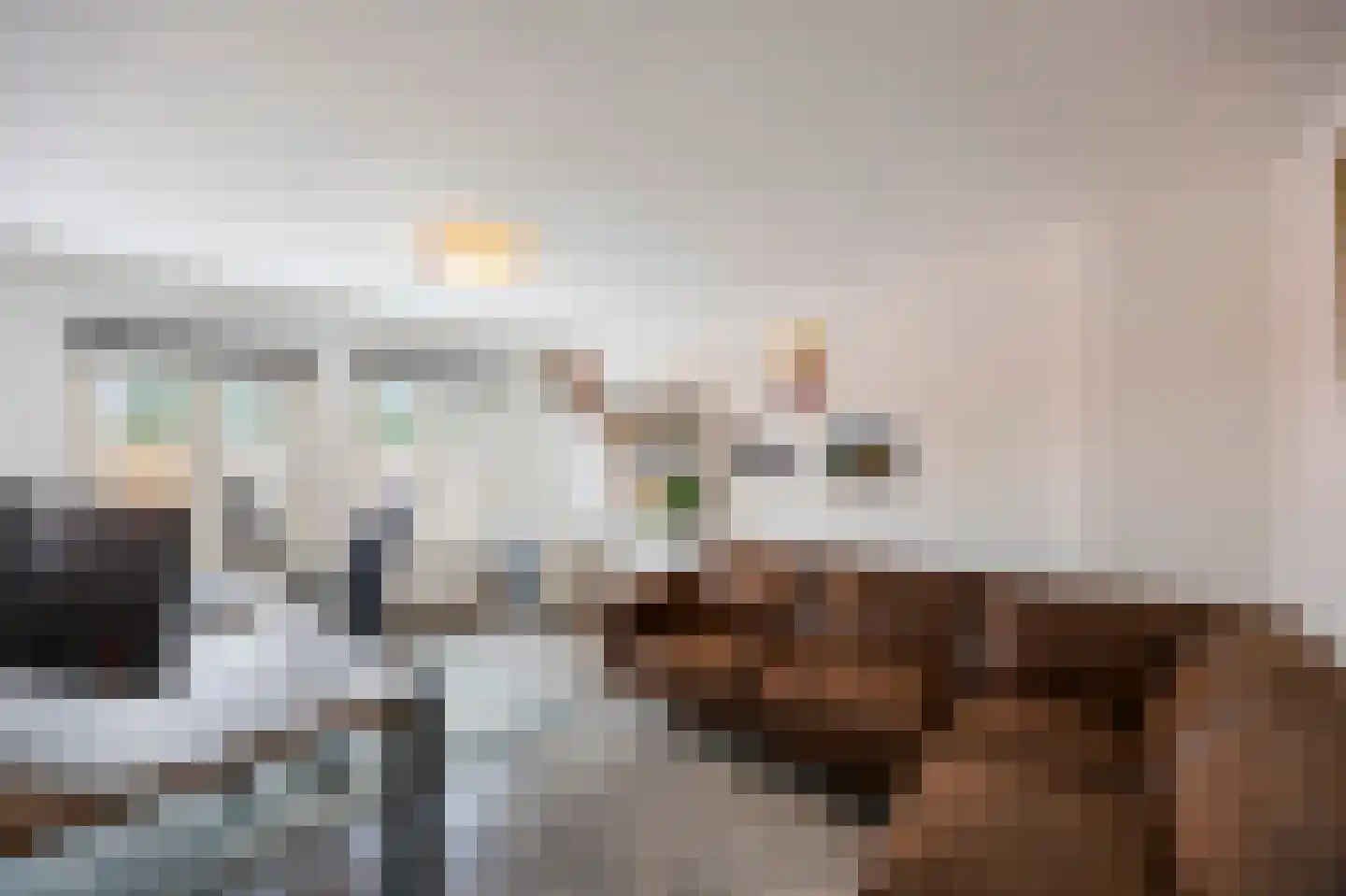 Raadhuisstraat 5 Maasbracht thumbnail 28