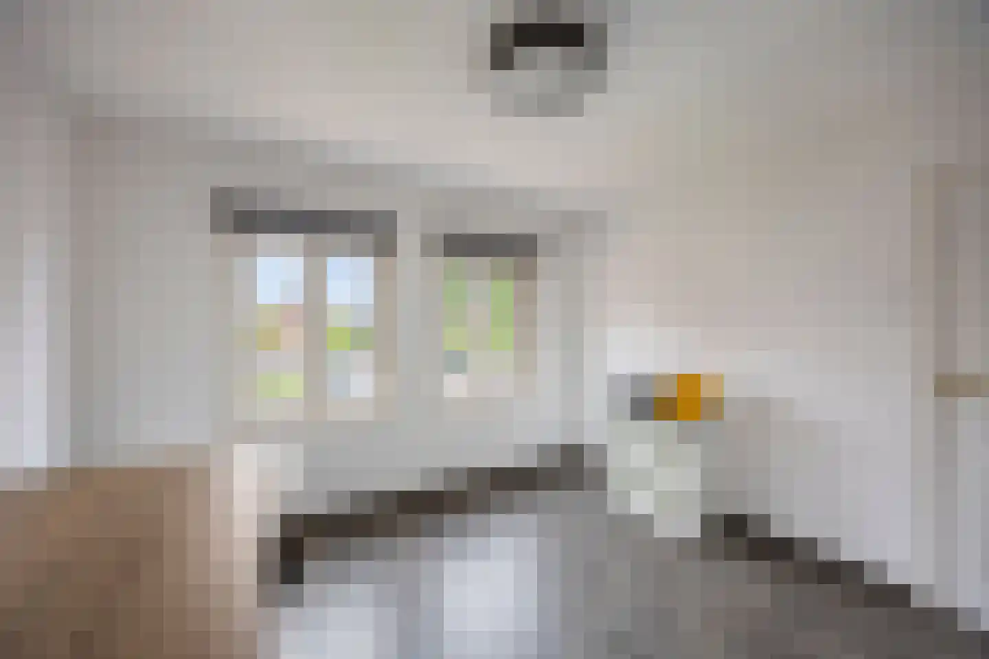 Raadhuisstraat 5 Maasbracht thumbnail 31