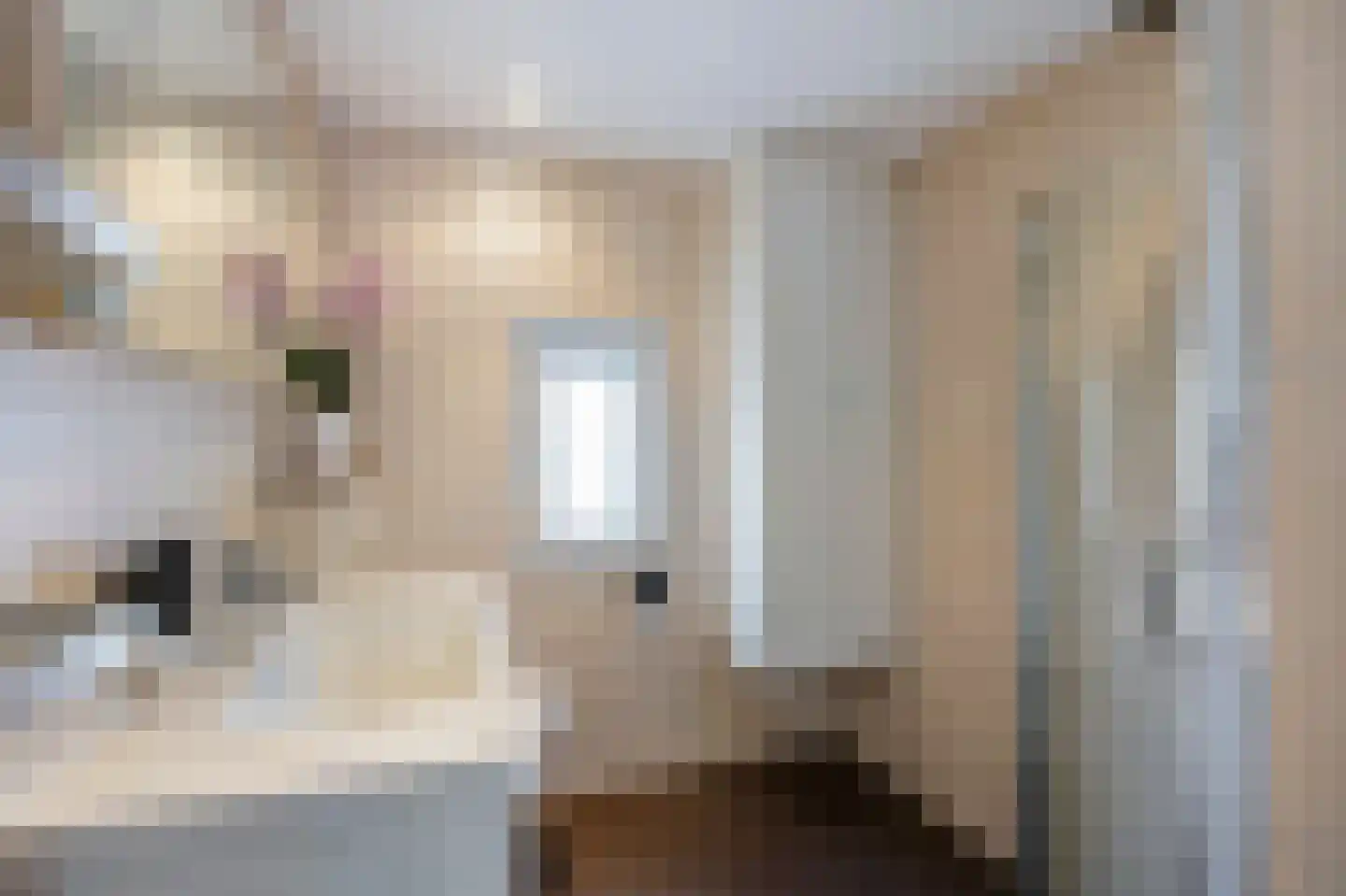 Raadhuisstraat 5 Maasbracht thumbnail 32