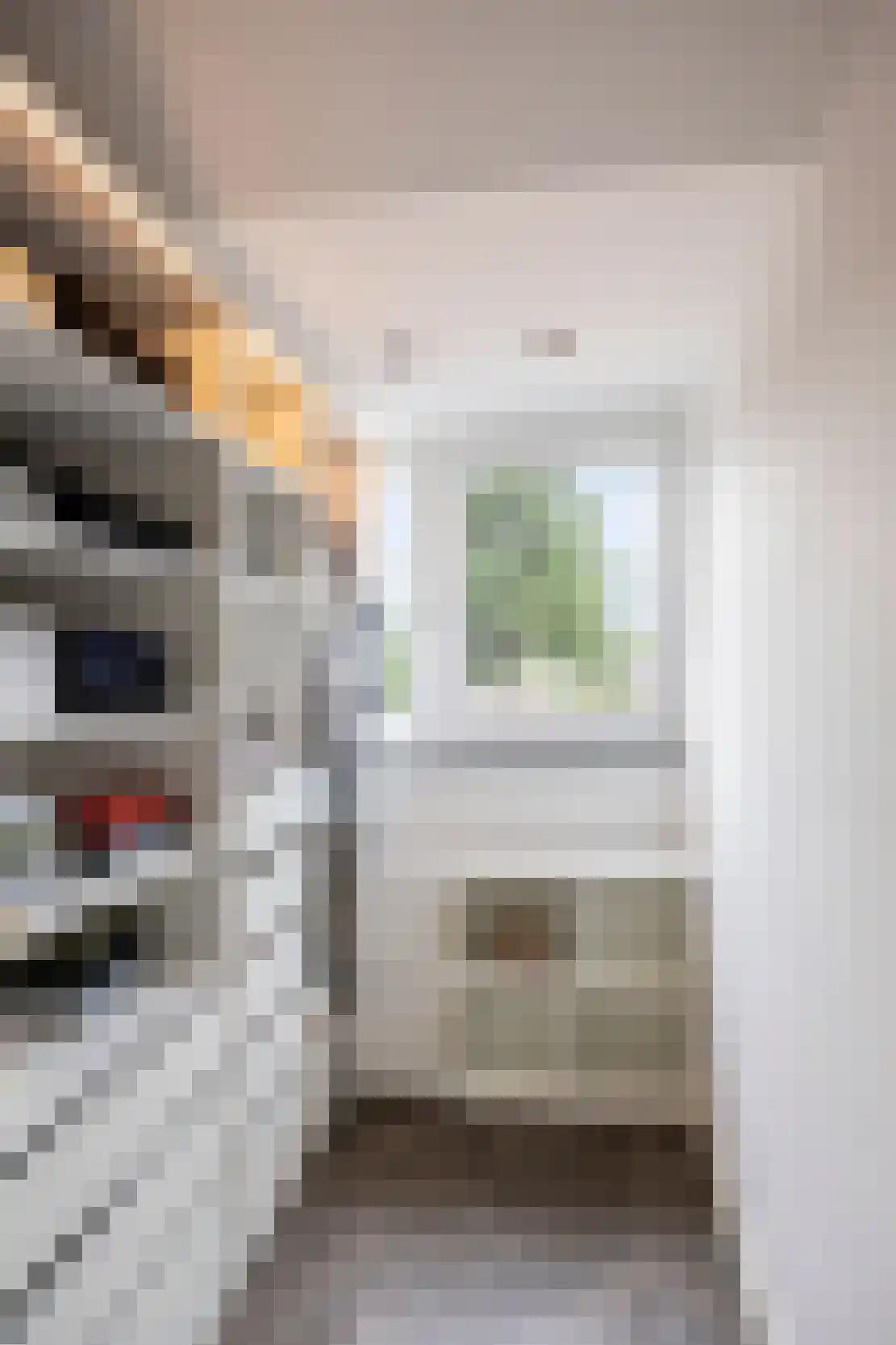 Raadhuisstraat 5 Maasbracht thumbnail 34