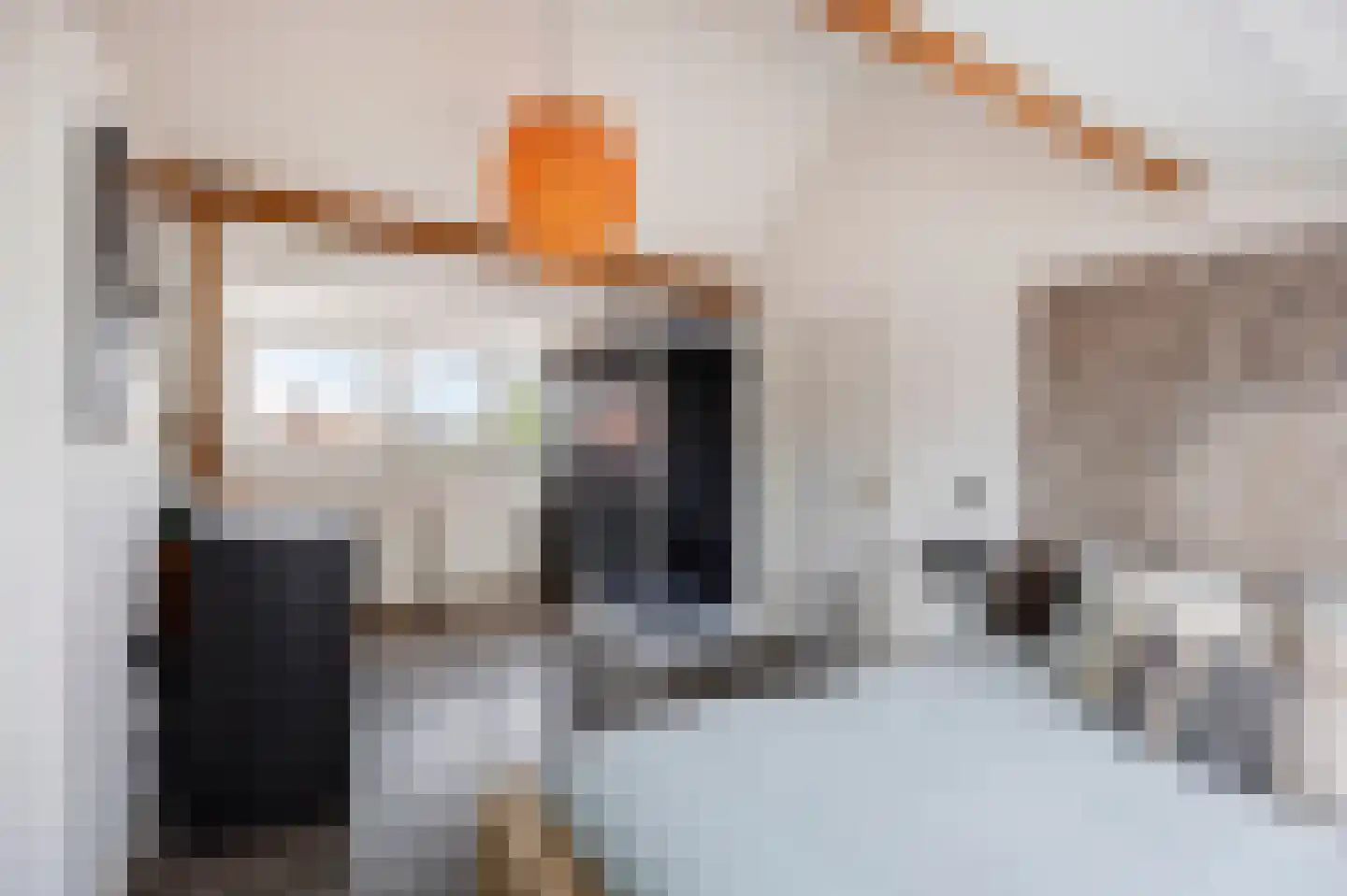 Raadhuisstraat 5 Maasbracht thumbnail 38