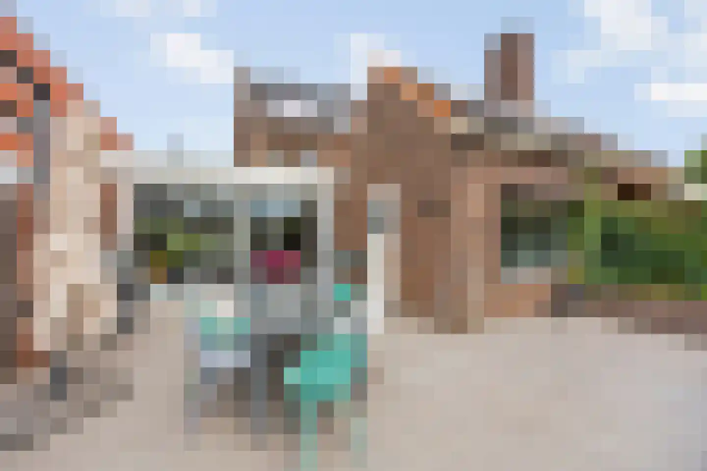 Raadhuisstraat 5 Maasbracht thumbnail 43