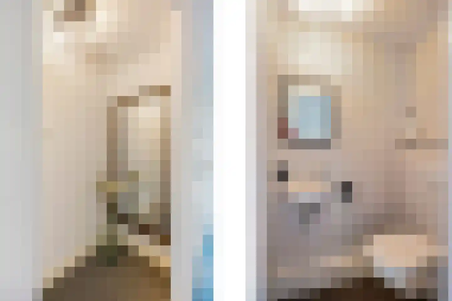 Raadhuisstraat 5 Maasbracht thumbnail 5