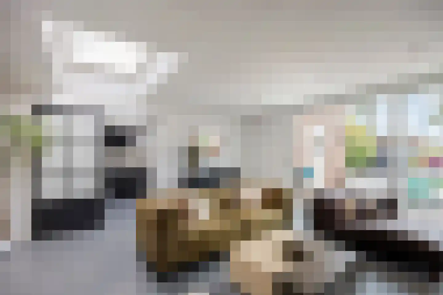 Raadhuisstraat 5 Maasbracht thumbnail 6
