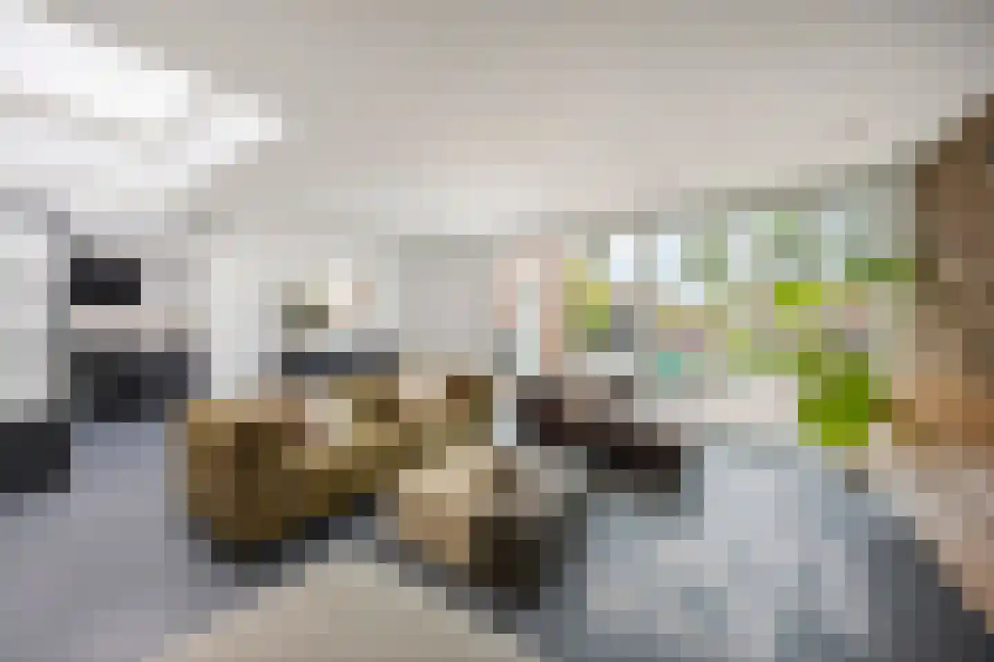 Raadhuisstraat 5 Maasbracht thumbnail 7