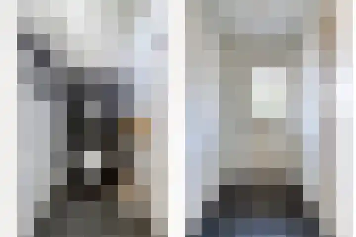 Raadhuisstraat 5 's-Heer Arendskerke thumbnail 20