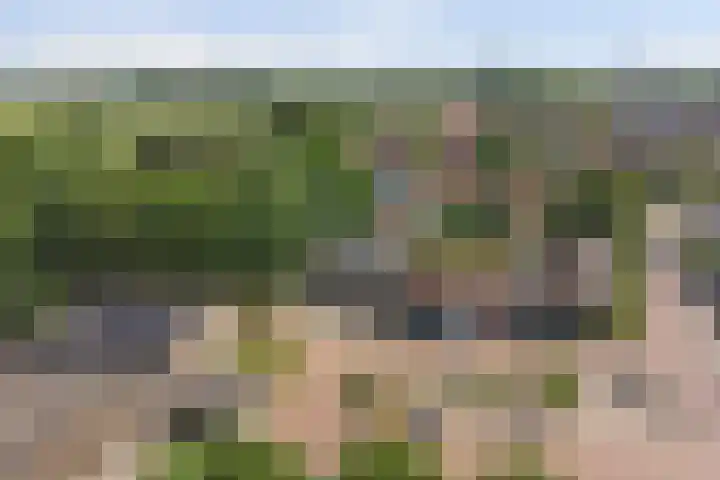 Raadhuisstraat 5 's-Heer Arendskerke thumbnail 22
