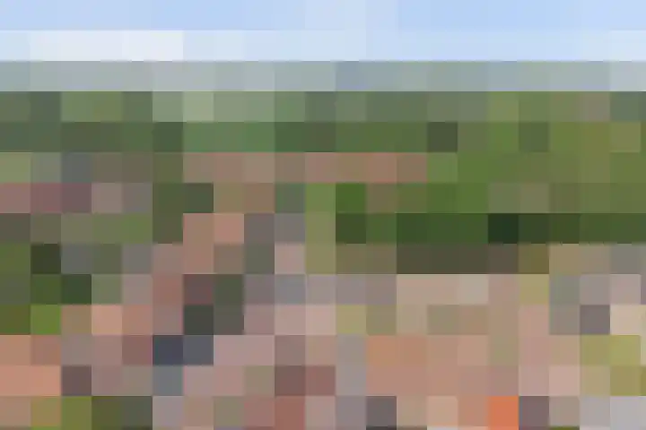 Raadhuisstraat 5 's-Heer Arendskerke thumbnail 24