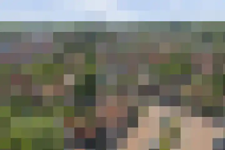 Raadhuisstraat 5 's-Heer Arendskerke thumbnail 25