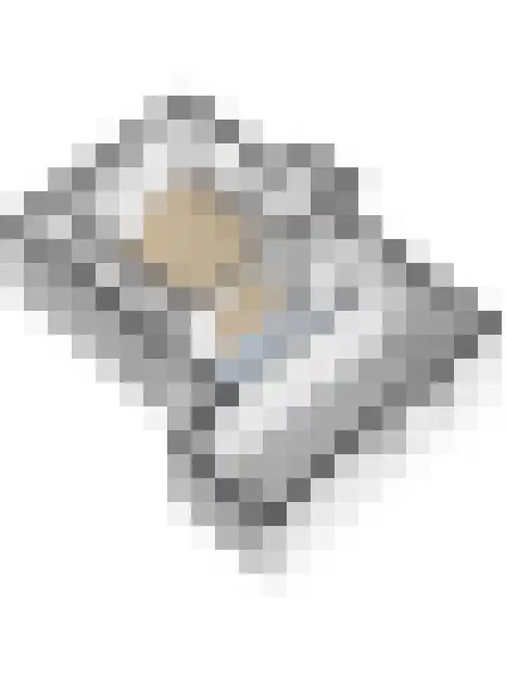 Raadhuisstraat 5 's-Heer Arendskerke thumbnail 30