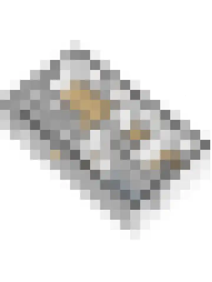Raadhuisstraat 5 's-Heer Arendskerke thumbnail 31