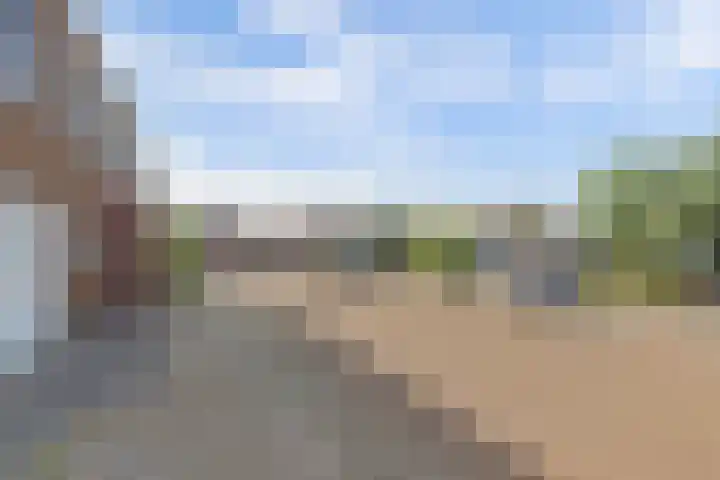 Raadhuisstraat 5 's-Heer Arendskerke thumbnail 4