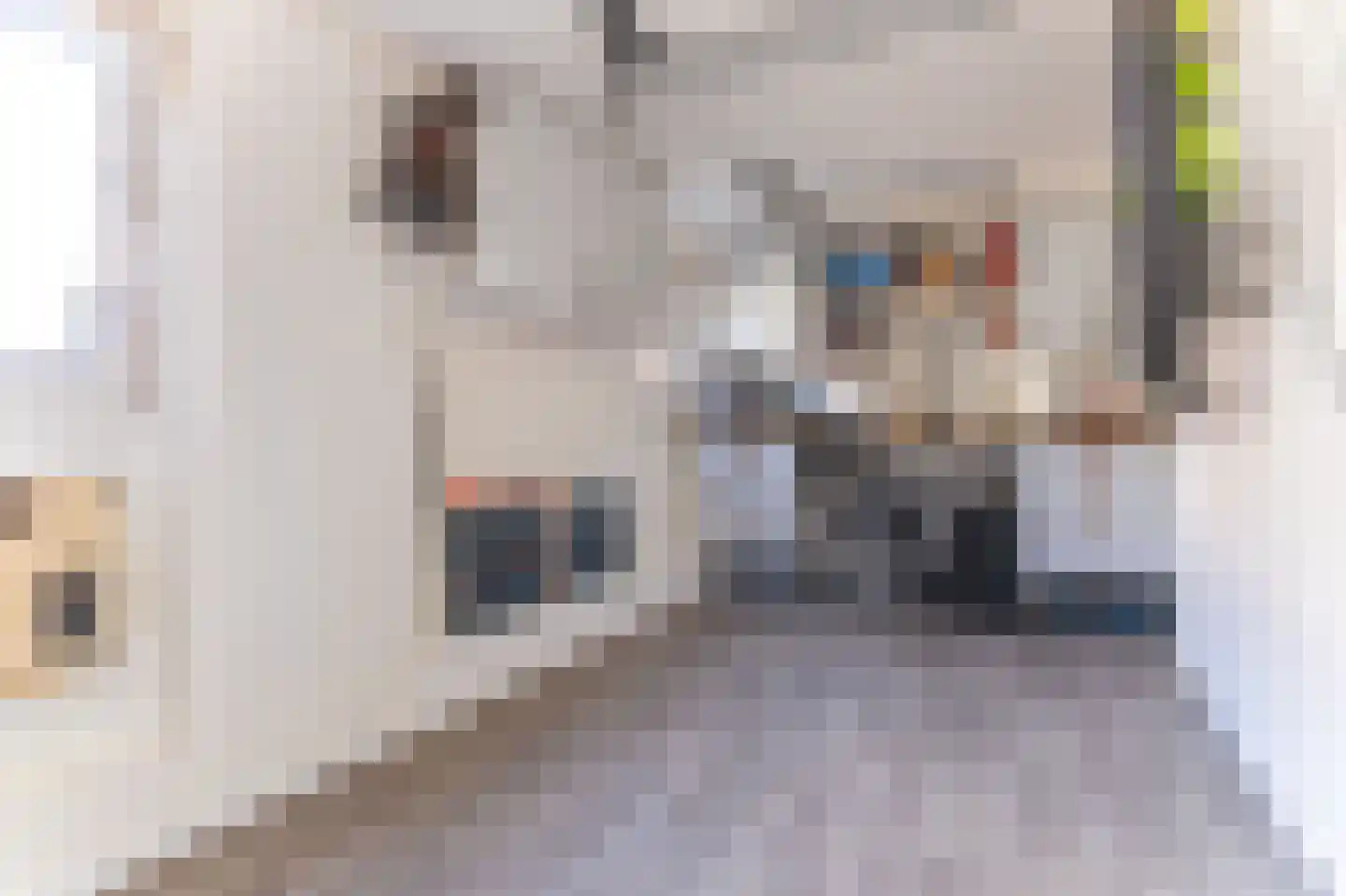 Raadhuisstraat 50 Westwoud thumbnail 23