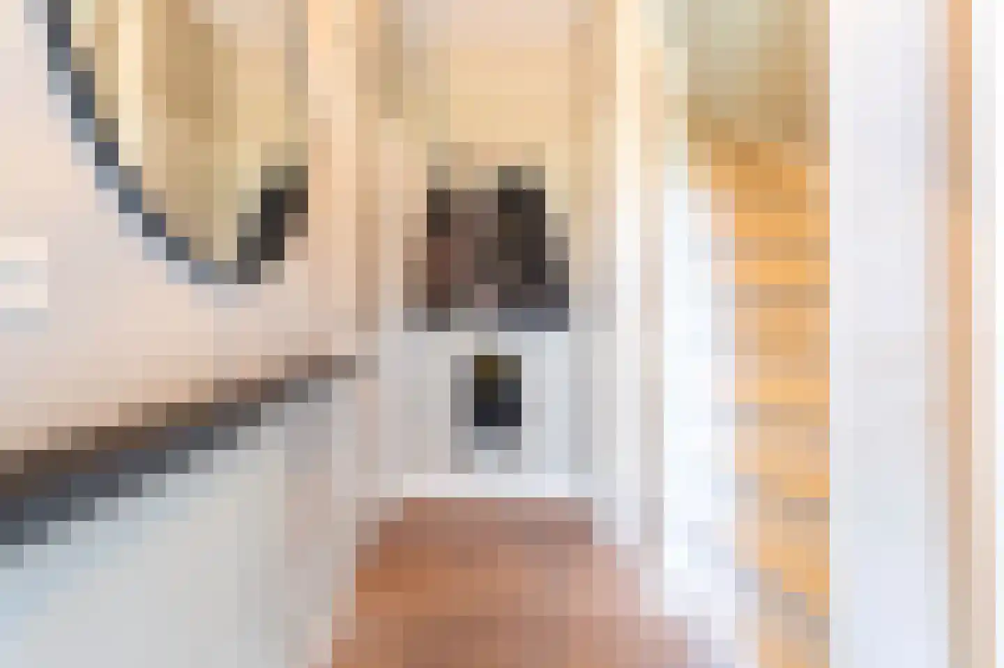 Raadhuisstraat 50 Westwoud thumbnail 27