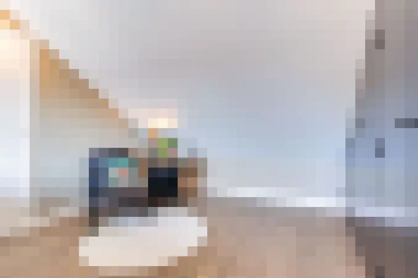Raadhuisstraat 50 Westwoud thumbnail 42