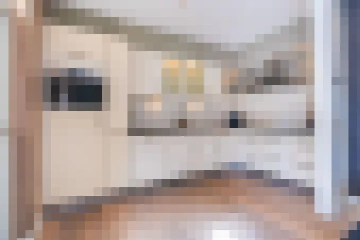 Raadhuisstraat 50 Westwoud thumbnail 8