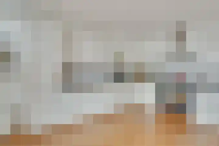 Raadhuisstraat 51 Graft thumbnail 13