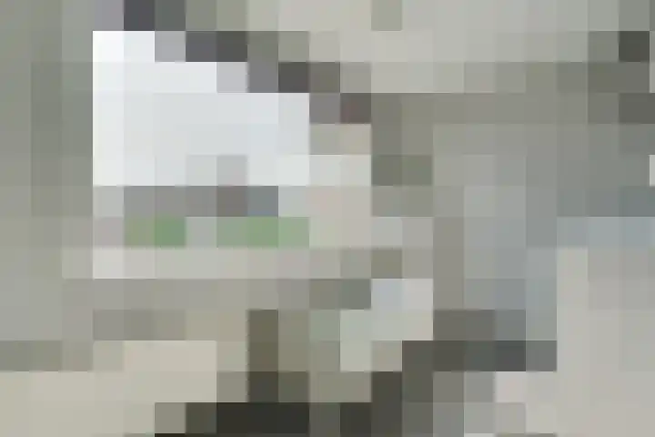 Raadhuisstraat 51 Graft thumbnail 18