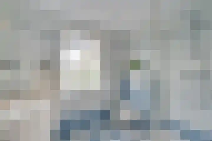 Raadhuisstraat 51 Graft thumbnail 25