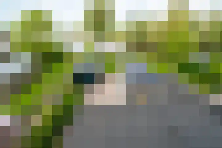 Raadhuisstraat 51 Graft thumbnail 33