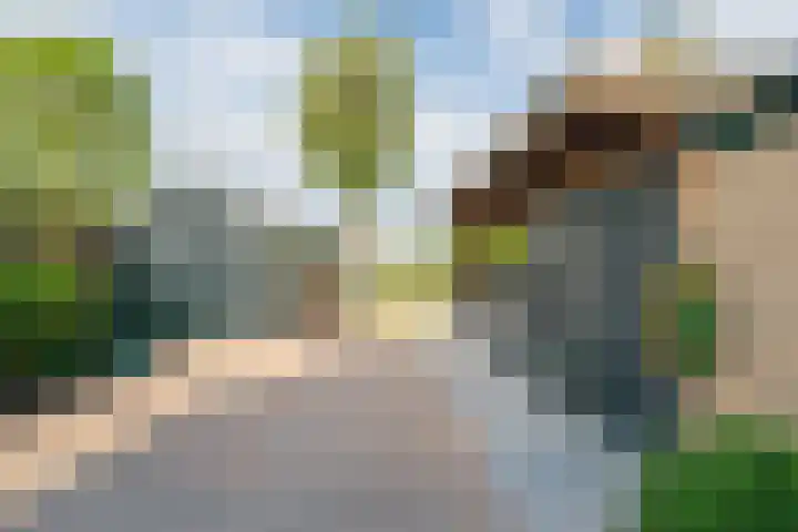 Raadhuisstraat 51 Graft thumbnail 40