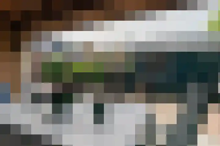 Raadhuisstraat 51 Graft thumbnail 42
