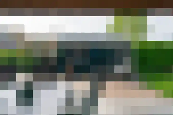 Raadhuisstraat 51 Graft thumbnail 43