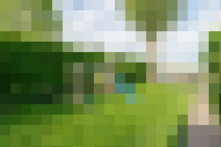 Raadhuisstraat 51 Graft thumbnail 44