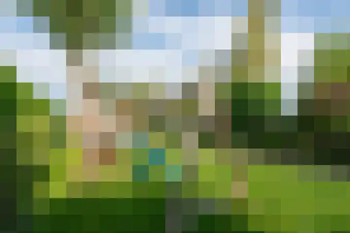 Raadhuisstraat 51 Graft thumbnail 45