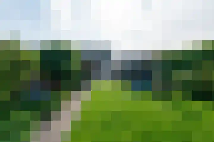 Raadhuisstraat 51 Graft thumbnail 50