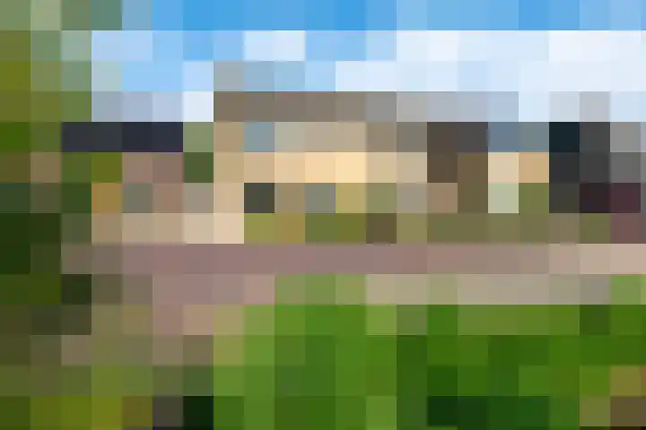 Raadhuisstraat 51 Graft thumbnail 56