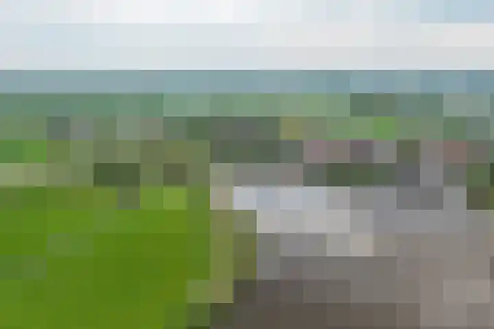 Raadhuisstraat 51 Graft thumbnail 57