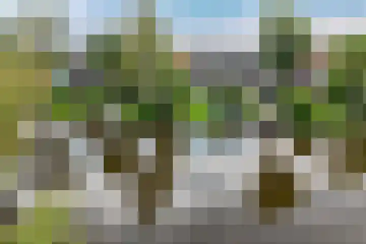 Raadhuisstraat 51 Graft thumbnail 61