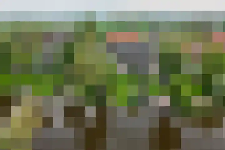Raadhuisstraat 51 Graft thumbnail 62