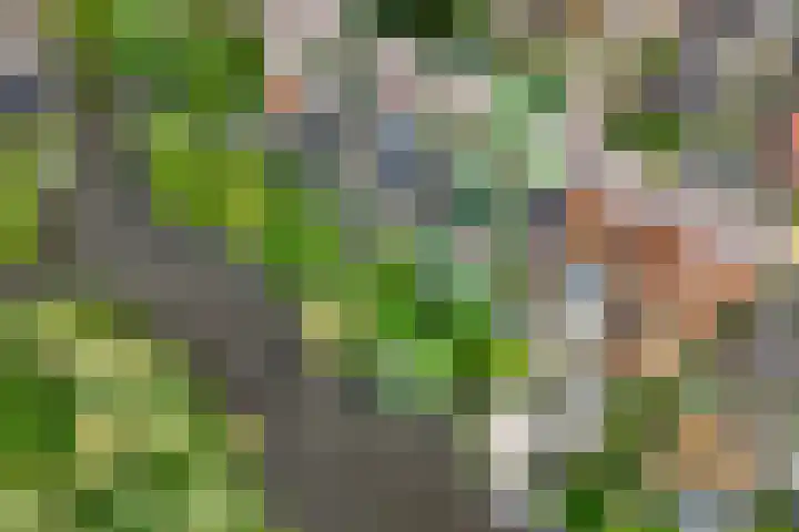 Raadhuisstraat 51 Graft thumbnail 64