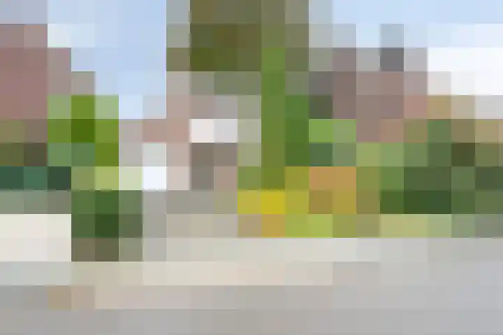 Raadhuisstraat 52 a Urmond thumbnail 7
